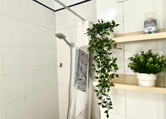 Paradise - * El Médano